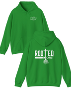 Gildan Unisex Hoodie / Irish Green / S