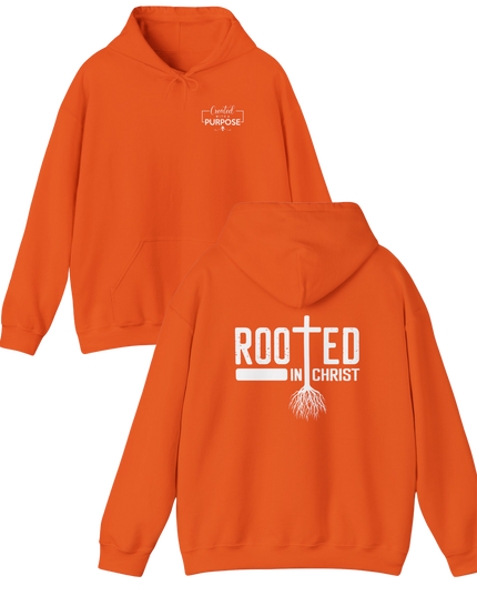 Rooted In Christ - Gildan Unisex T-Shirt & Hoodie