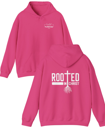 Rooted In Christ - Gildan Unisex T-Shirt & Hoodie
