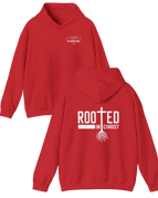 Gildan Unisex Hoodie / Red / S