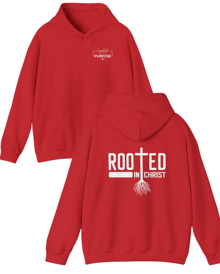 Rooted In Christ - Gildan Unisex T-Shirt & Hoodie
