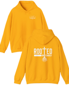 Gildan Unisex Hoodie / Gold / S