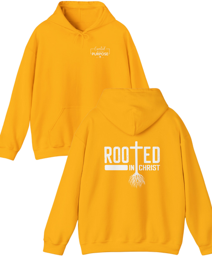 Rooted In Christ - Gildan Unisex T-Shirt & Hoodie