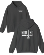 Gildan Unisex Hoodie / Dark Heather / S